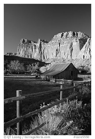 Fence, Old barn, horse and cliffs, Fruita. Capitol Reef National Park (black and white)