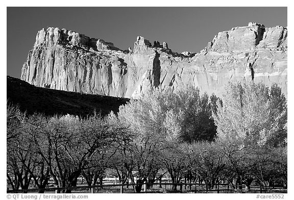 Historic orchard and cliffs. Capitol Reef National Park (black and white)