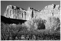 Historic orchard and cliffs. Capitol Reef National Park, Utah, USA. (black and white)
