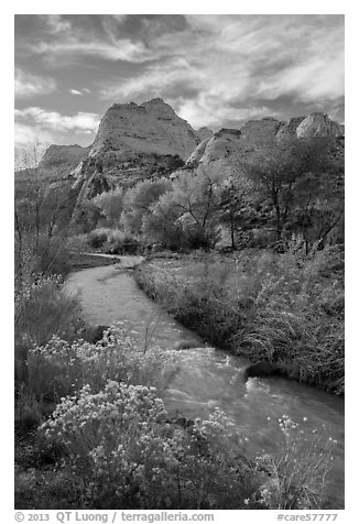 Fremont River, shrubs and trees in fall. Capitol Reef National Park (black and white)