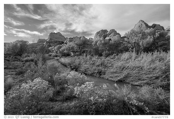 Fremont River Canyon in fall. Capitol Reef National Park (black and white)