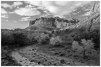 Sulphur Creek, trees in fall foliage, and Castle, Fruita. Capitol Reef National Park, Utah, USA. (black and white)