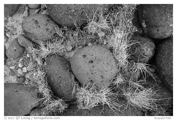 Ground View with basalt boulders and grass. Capitol Reef National Park, Utah, USA.