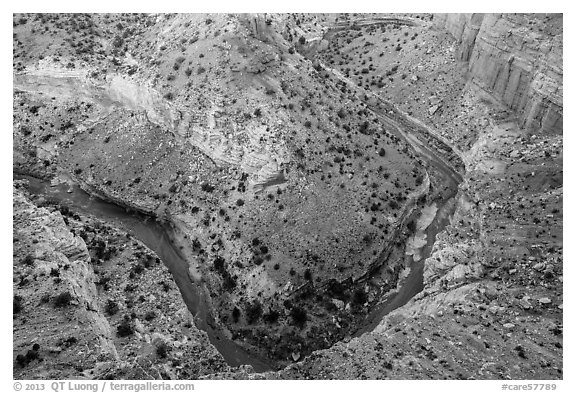 Sulfur Creek Goosenecks. Capitol Reef National Park (black and white)