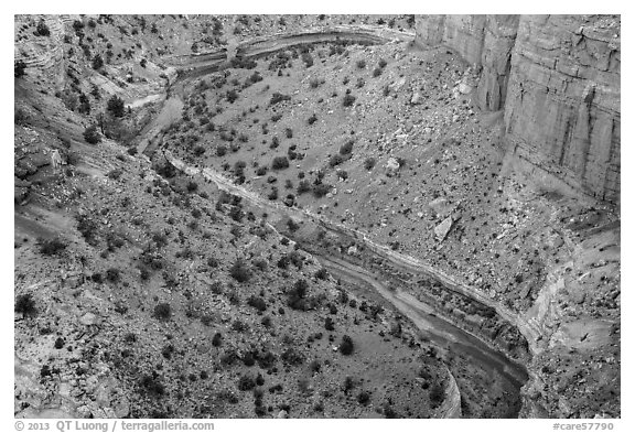 Goosenecks of Sulfur Creek. Capitol Reef National Park (black and white)