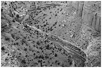 Goosenecks of Sulfur Creek. Capitol Reef National Park, Utah, USA. (black and white)