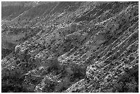 Sulfur Creek Canyon Wall. Capitol Reef National Park, Utah, USA. (black and white)