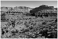 Junipers and Mummy cliffs. Capitol Reef National Park, Utah, USA. (black and white)
