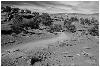 Trail near Sunset Point. Capitol Reef National Park, Utah, USA. (black and white)