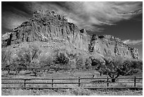 Historic orchard and cliff in autumn, Fruita. Capitol Reef National Park ( black and white)