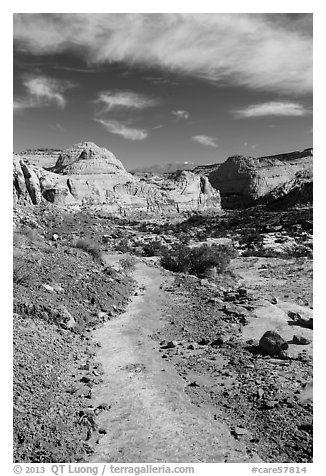 Primitive trail on natural slab. Capitol Reef National Park (black and white)