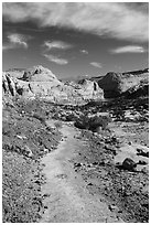 Primitive trail on natural slab. Capitol Reef National Park, Utah, USA. (black and white)