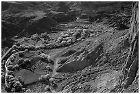 Fruita in the fall from Rim Overlook. Capitol Reef National Park ( black and white)