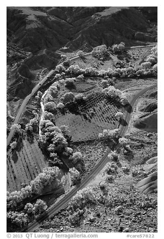 Fruita orchards in the fall, seen from above. Capitol Reef National Park, Utah, USA.