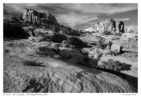 Sandstone swirls and domes, North Rim. Capitol Reef National Park (black and white)