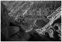 Juniper and cliffs on rim of Sulfur Creek Canyon. Capitol Reef National Park, Utah, USA. (black and white)