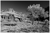 Castle Meadow and Castle in autumn. Capitol Reef National Park, Utah, USA. (black and white)