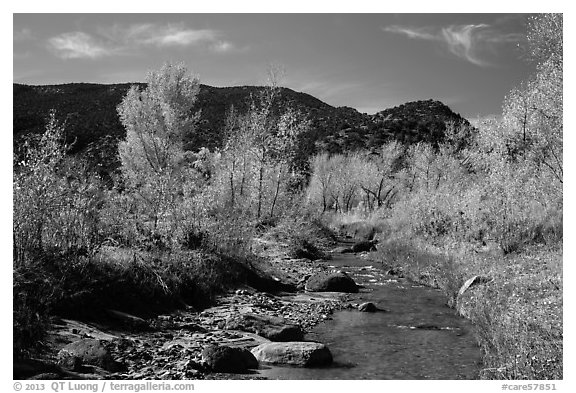 Pleasant Creek in autumn. Capitol Reef National Park, Utah, USA.