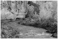 Fremont River, cottonwoods, and cliffs in autumn. Capitol Reef National Park, Utah, USA. (black and white)