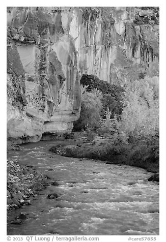Bend of the Fremont River, cottonwoods, and cliffs in autumn. Capitol Reef National Park (black and white)