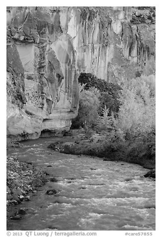 Bend of the Fremont River, cottonwoods, and cliffs in autumn. Capitol Reef National Park, Utah, USA.