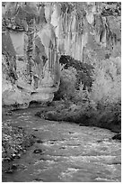 Bend of the Fremont River, cottonwoods, and cliffs in autumn. Capitol Reef National Park ( black and white)