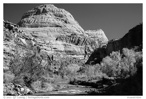 Capitol Dome in autumn. Capitol Reef National Park, Utah, USA.