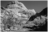 Capitol Dome in autumn. Capitol Reef National Park, Utah, USA. (black and white)