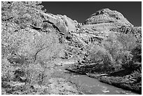 Fremont River and Capitol Dome in autumn. Capitol Reef National Park, Utah, USA. (black and white)