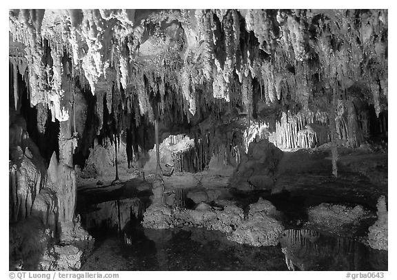 Delicate formations reflected in a pool, Lehman Caves. Great Basin National Park (black and white)