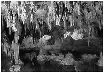 Delicate formations reflected in a pool, Lehman Caves. Great Basin National Park, Nevada, USA. (black and white)
