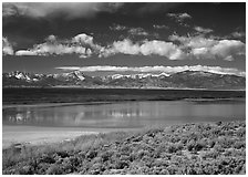 Sagebrush, lake, and Snake Range. Great Basin National Park ( black and white)