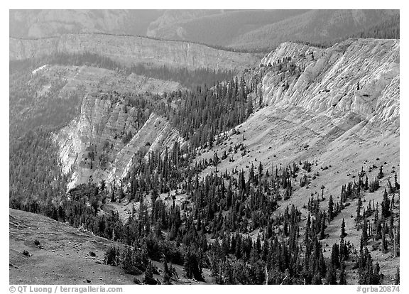 Limestone cliffs near Mt Washington. Great Basin National Park (black and white)