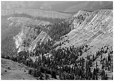 Limestone cliffs near Mt Washington. Great Basin  National Park ( black and white)