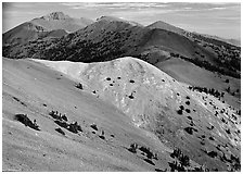 Wheeler Peak and Snake range seen from Mt Washington, morning. Great Basin National Park ( black and white)