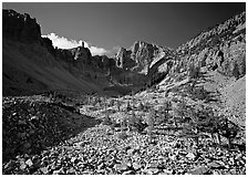 Bristlecone pine and morainic rocks, Wheeler Peak, morning. Great Basin National Park ( black and white)