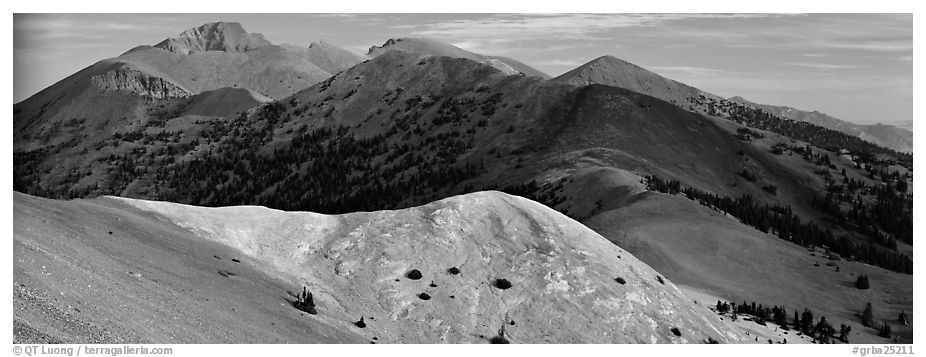 Snake Range ridge top. Great Basin  National Park (black and white)