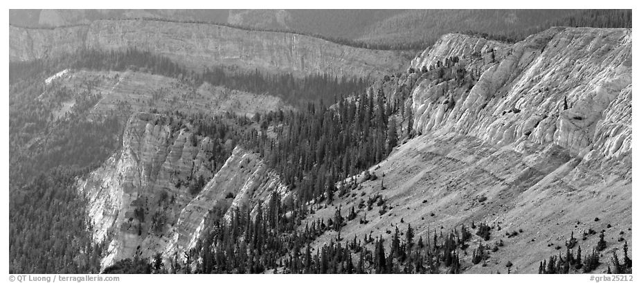 Limestone cliffs. Great Basin National Park (black and white)