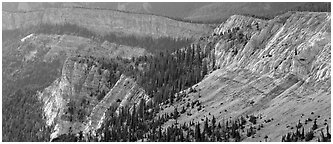 Limestone cliffs. Great Basin  National Park (Panoramic black and white)