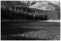 Shadows and conifer forest, Teresa Lake. Great Basin National Park, Nevada, USA. (black and white)