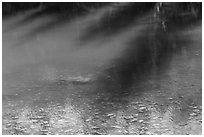 Shadows on Teresa Lake waters. Great Basin National Park ( black and white)