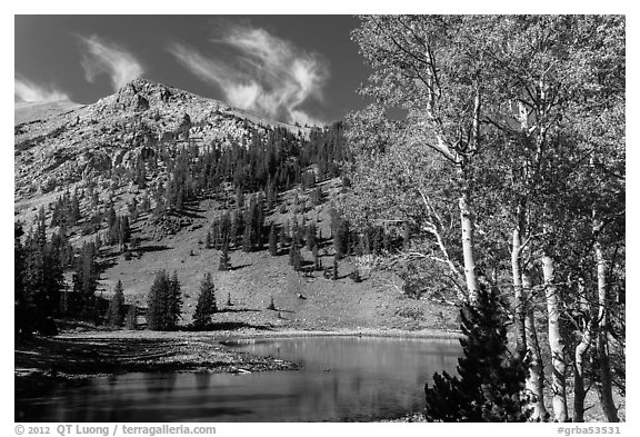 Aspen and Stella Lake. Great Basin National Park (black and white)
