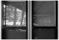 Forest, visitor center window reflexion. Great Basin National Park, Nevada, USA. (black and white)