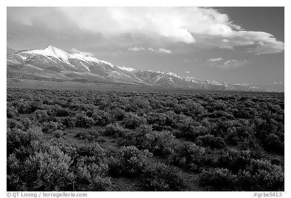 Snake Range and Wheeler Peak raising above Sagebrush, seen from the West, Sunset. Great Basin National Park, Nevada, USA.