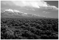 Snake Range and Wheeler Peak above sagebrush flats, from the West. Great Basin National Park ( black and white)