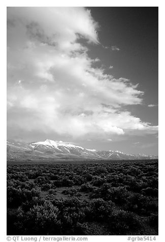 Snake Range and Wheeler Peak raising above Sagebrush, seen from the West, Sunset. Great Basin National Park, Nevada, USA.