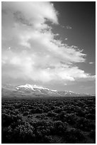Snake Range and Wheeler Peak raising above Sagebrush, seen from the West, Sunset. Great Basin National Park, Nevada, USA. (black and white)