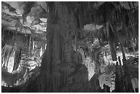 Tall columns in Lehman Cave. Great Basin National Park, Nevada, USA. (black and white)