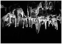 Water drops dripping of stalactites, Lehman Cave. Great Basin National Park, Nevada, USA. (black and white)