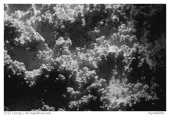 Corn formations, Lehman Cave. Great Basin National Park (black and white)